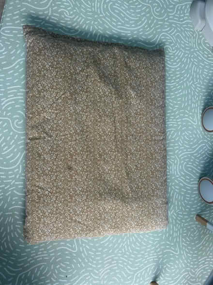 Photo of free Dog bed (South Darley CP DE4) #1