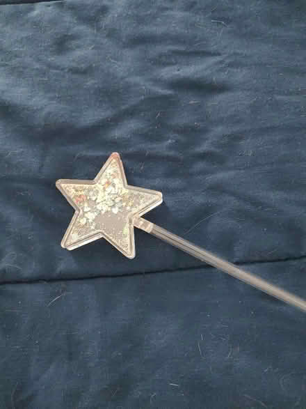 Photo of free Glitter star (Near Fairview & 55th St, DG) #2