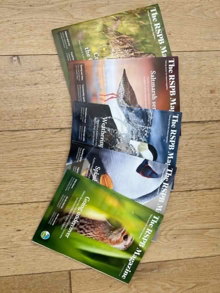 Photo of free RSPB magazines x 5 (Harrogate HG2) #2