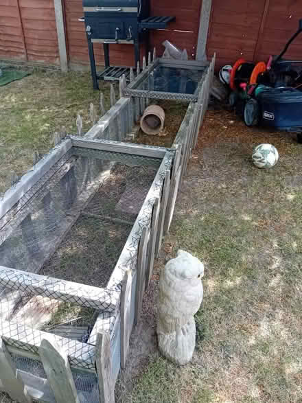 Photo of free Guinea pig run (ME15 Plains avenue) #2