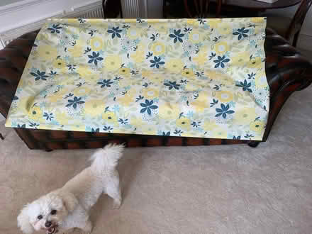 Photo of free Roller Blind (Penland Wood TN40) #1
