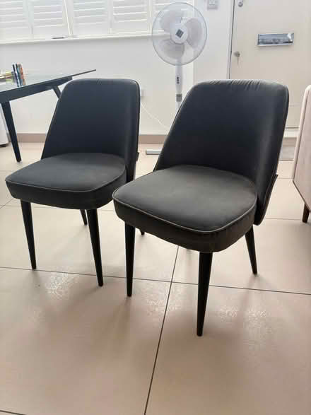 Photo of free Two Dining Chairs (Notting Hill Gate W11) #1