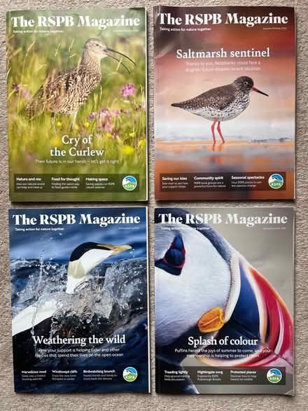 Photo of free RSPB magazines x 4 (Harrogate HG2) #1
