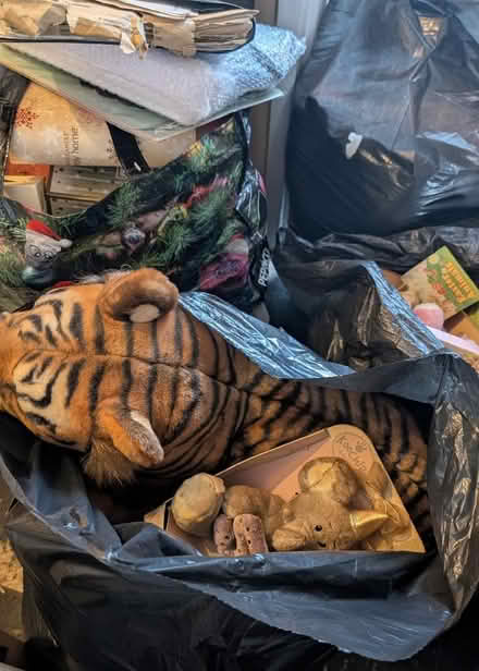 Photo of free Loads Of Different Sized Teddies And Soft Toys (Holmewood BD4) #4