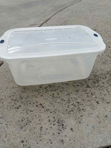 Photo of free plastic container with lid (North Hollywood) #1