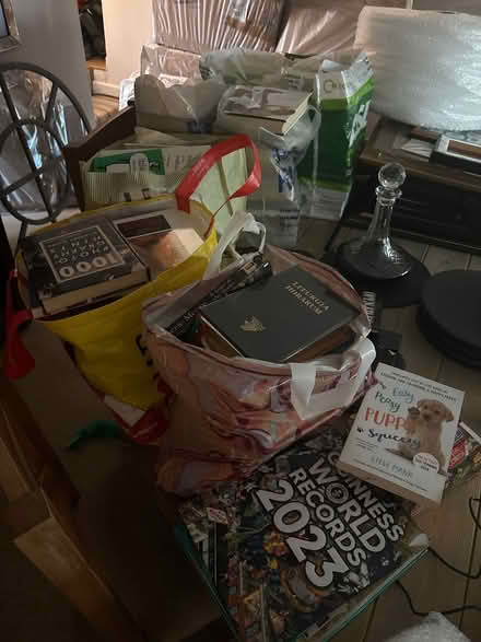 Photo of free Ten bags of assorted genre books (Sn14 8lb) #1
