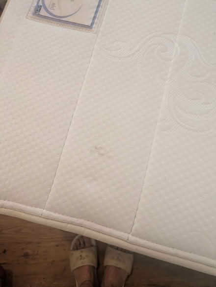 Photo of free Single trundle bed (Maesycwmmer CF82) #1