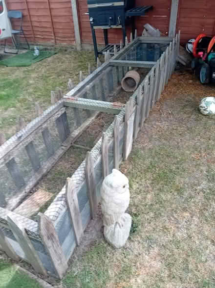 Photo of free Guinea pig run (ME15 Plains avenue) #1