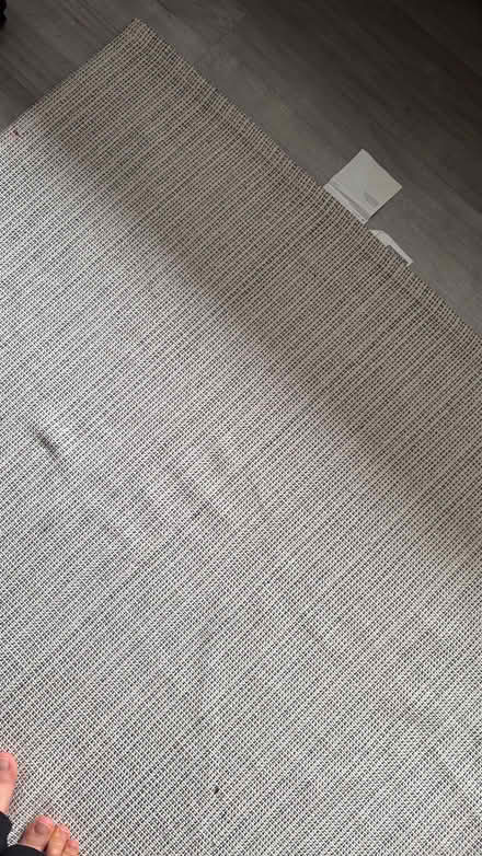 Photo of free 2 small mats and rug (Kings Buildings EH9) #3