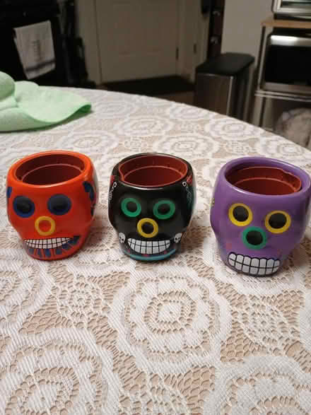 Photo of free Multiple starting planter pots (Charlottesville, Near Pen Park) #1