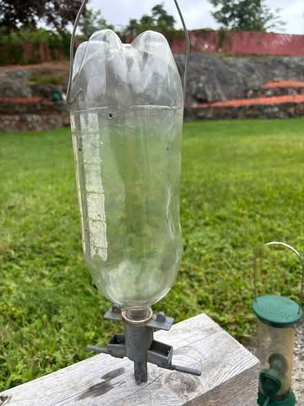Photo of free bird bath and bird feeders (Very close to YMCA - Woburn) #2