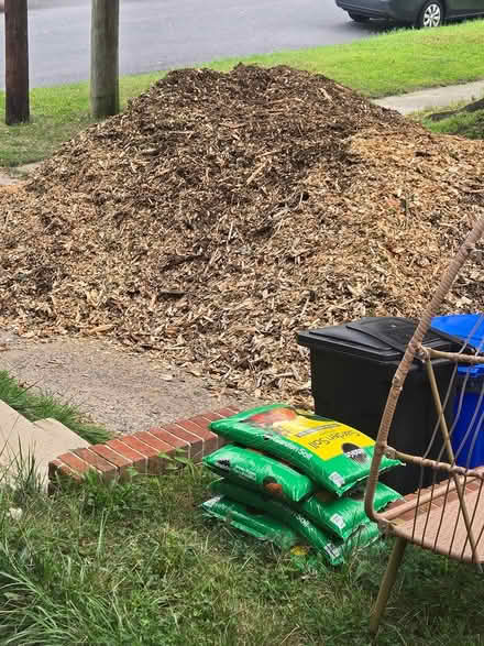 Photo of free pine mulch (Kemp Mill, silver spring, MD) #1