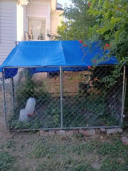 Photo of free chicken coop (Near downtown) #2