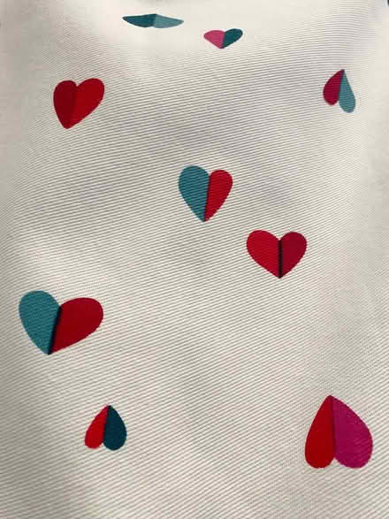 Photo of free Kate Spade Shower Curtain (Richmond) #2