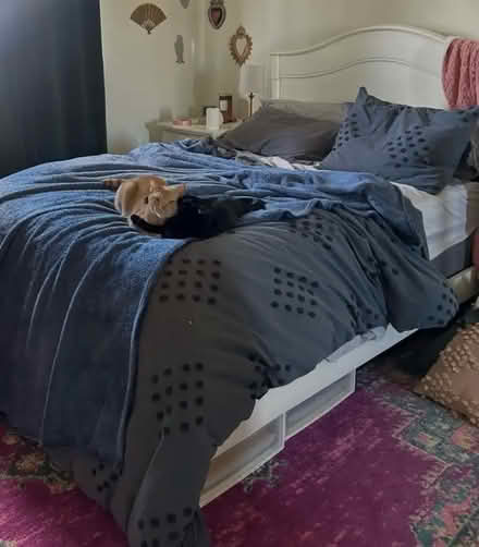 Photo of free Full size bed frame PB teen (Livermore 94550) #2