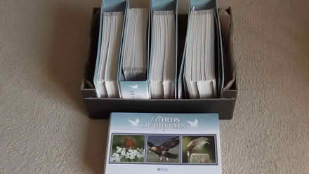Photo of free Birds of Britain folders (St Albans AL4) #1