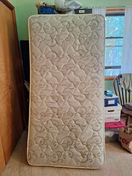 Photo of free SERTA twin mattress (Blue Mt. area of Saugerties) #1