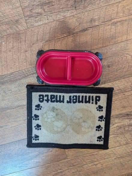 Photo of free Cat double bowl & mat (Sheffield S12) #2
