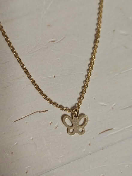 Photo of free Small Necklaces (Near Bolingbrook High School) #3