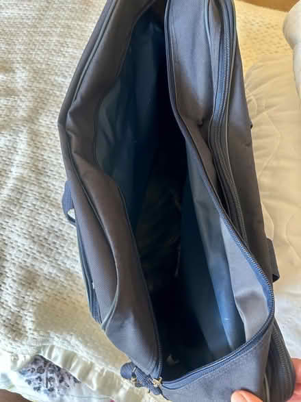 Photo of free Shoulder travel bag (Phippsville NN1) #3