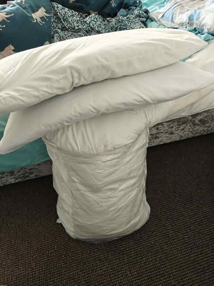 Photo of free Blanket and 2 pillows (Stroud Green N4) #1