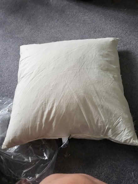 Photo of free 5 large cushions (Claughton CH43) #1