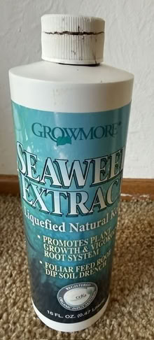 Photo of free Seaweed Extract Fertilizer (Cupertino - DeAnza and 280) #1