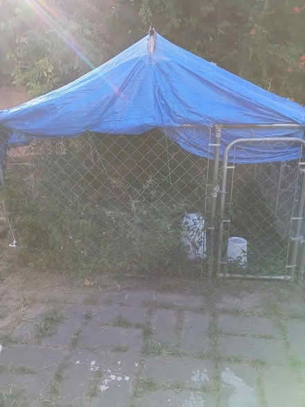 Photo of free chicken coop (Near downtown) #1