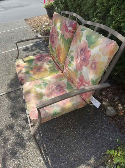 Photo of free Patio Seat (Cordata) #2
