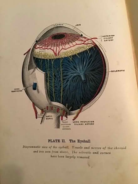 Photo of free antique medical book 1908 (ward area by york rd) #4