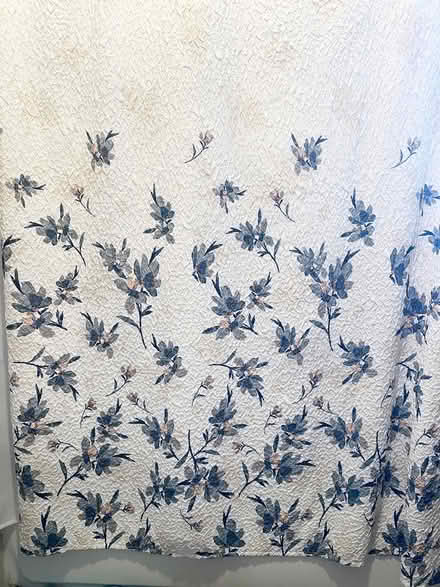 Photo of free DKNY Shower Curtain (Richmond) #2