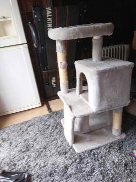 Photo of free Cat tree (Puds3 LS13) #1