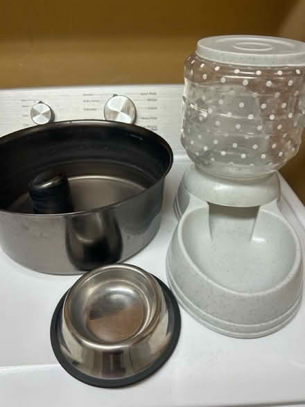 Photo of free Cat supplies (Sunrise Manor/Eastside) #1
