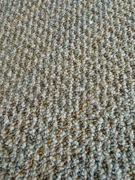 Photo of free Area rug (29307) #4