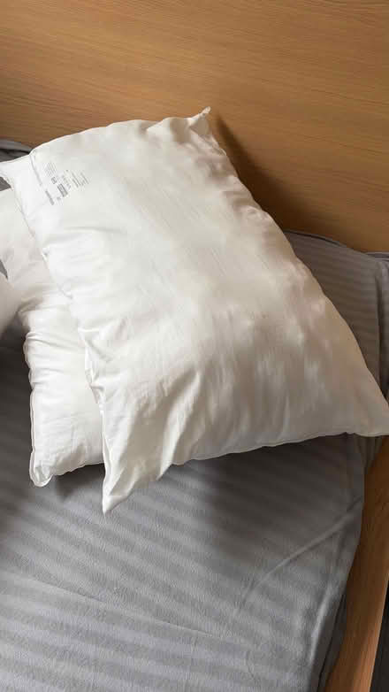 Photo of free İKEA double duvet (12 TOG) and two pillows (Kings Buildings EH9) #2