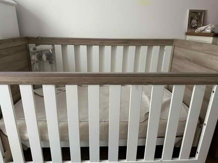 Photo of free Cot Bed Up To 6 Yrs Old (Well Street E9) #3