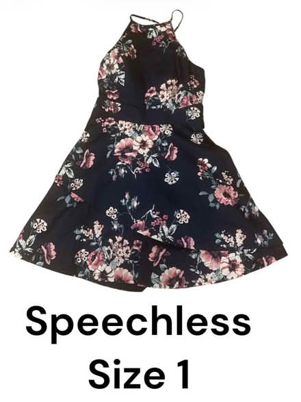 Photo of free Speechless Woman’s Dress (Brooklyn Storage) #1