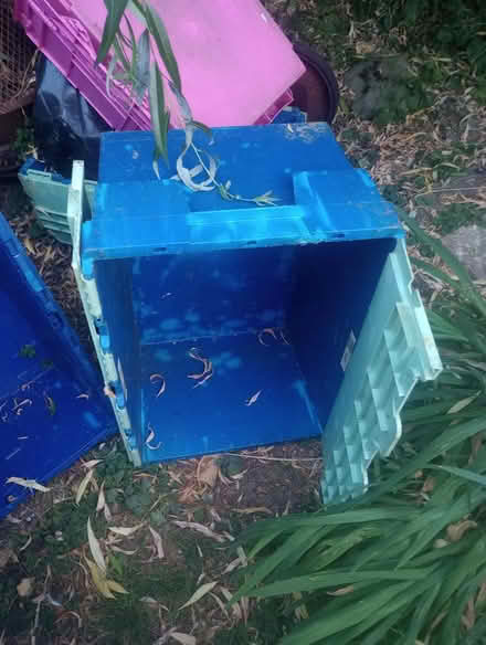 Photo of free Plastic storage containers (Tuffley GL4 loucester) #4