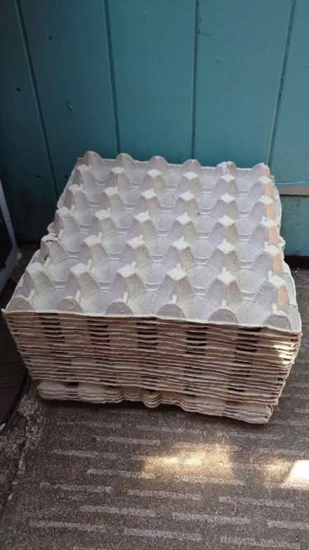 Photo of free Egg Trays / Boxes (Royal Leamington Spa CV31) #1