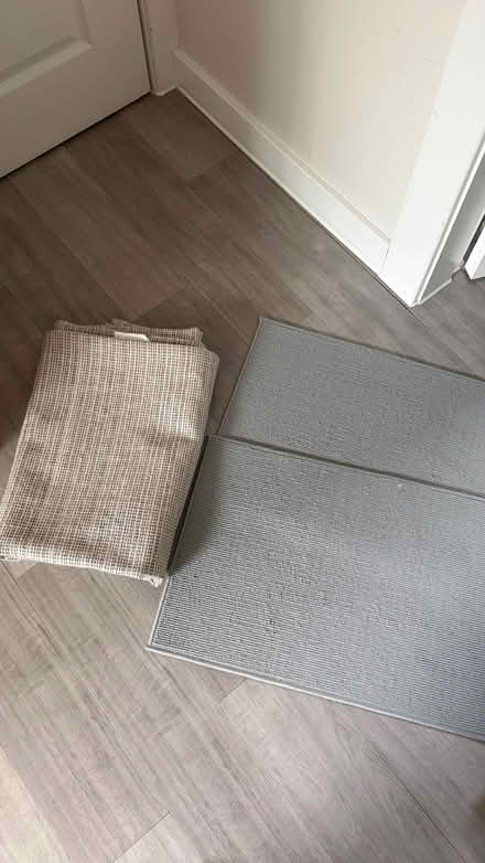 Photo of free 2 small mats and rug (Kings Buildings EH9) #1