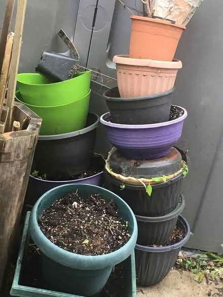 Photo of free Gardening Supplies (westend (nepean/kanata)) #2