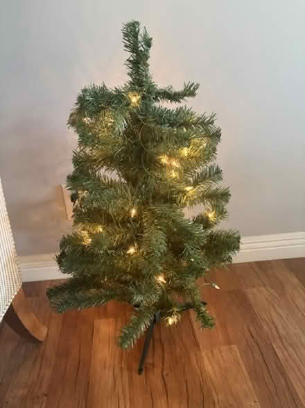Photo of free Small Christmas tree (North Hollywood) #1