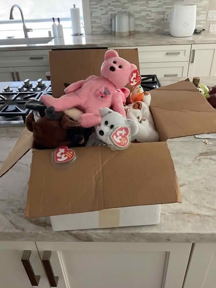 Photo of free Beanie Babies (By Raleys Supermarket) #1