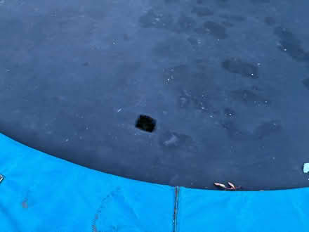 Photo of free Trampoline (Saint George's CO2) #4