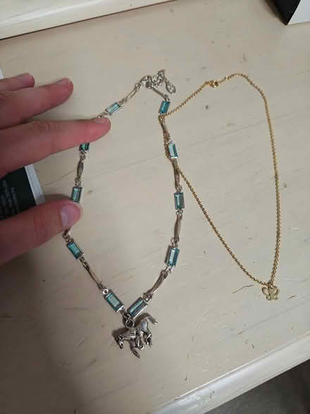 Photo of free Small Necklaces (Near Bolingbrook High School) #1