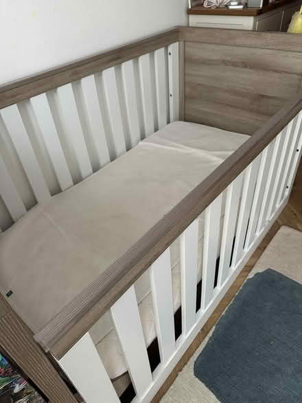 Photo of free Cot Bed Up To 6 Yrs Old (Well Street E9) #1
