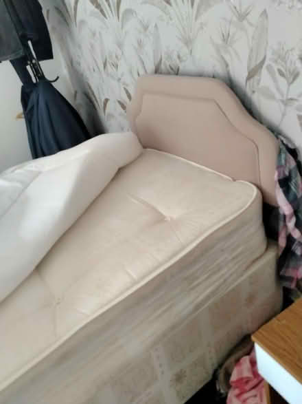 Photo of free Single bed /with headboard (castletown SR5 3ep) #1