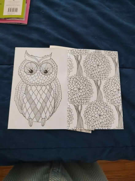 Photo of free Adult Coloring Books (Near Fairview & 55th St, DG) #3