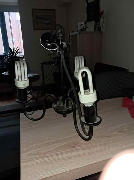 Photo of free Hanging light fittings (2) (Dublin south city) #2