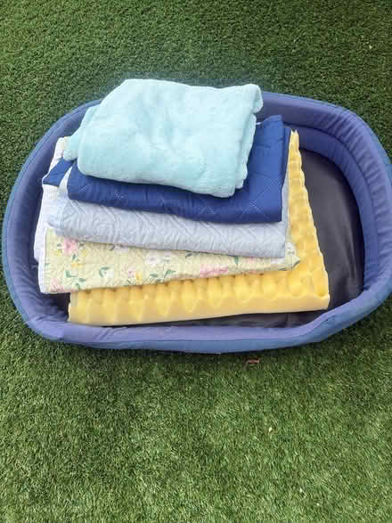 Photo of free Dog bed, blankets, training pads (Stockport SK1) #2
